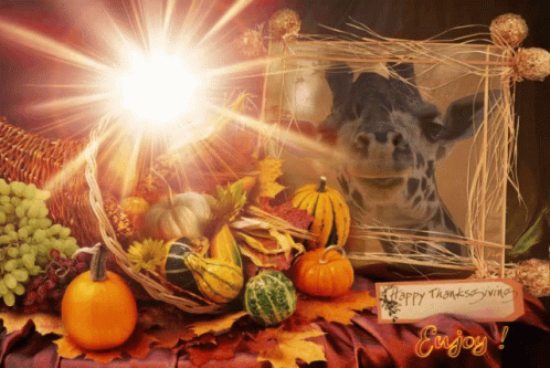 Thanksgiving Gif Card Giraffe Animal GIF - Thanksgiving Gif Card Giraffe Animal Sunshine Food Veggies Fruit GIFs