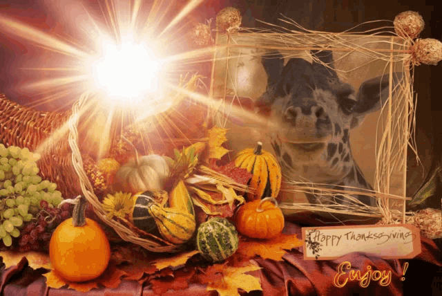 a picture of a giraffe with a happy thanksgiving sign in front of it