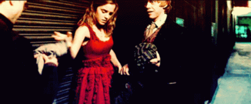 Harmione Purse Magic Purse GIF - Harmione Purse Magic Purse Magic Handbag GIFs