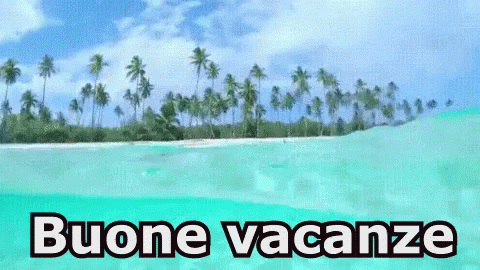 Buone Vacanze Vacanze Estate Mare Onde Sole Isola Caraibi Palme GIF - Enjoy Yours Holidays Holidays Summer GIFs