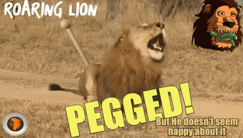 Vertek Defi Roaring Lion Defi GIF - Vertek Defi Roaring Lion Defi Roaring Lion GIFs