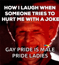 a poster that says how i laugh when someone tries to hurt me with a joke gay pride is male pride ladies ..