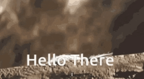 a close up of a rock with the words `` hello there '' on it .