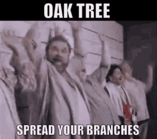 Oak Tree Morris Day GIF - Oak Tree Morris Day The Time GIFs