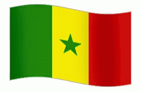 Senegal Flag Flag GIF