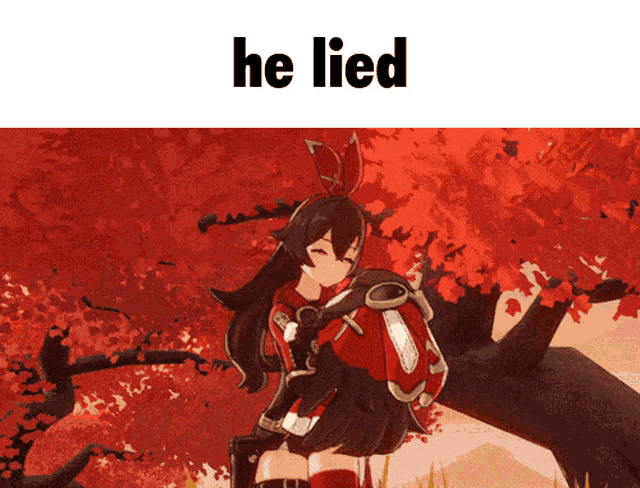 a picture of a girl with the words he lied on the bottom