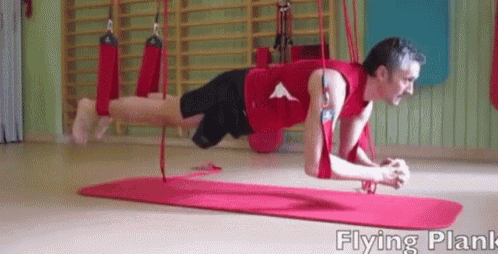 Redcord Plank GIF - Redcord Plank GIFs