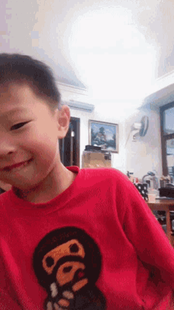 a young boy wearing a red shirt with a picture of a monkey on it