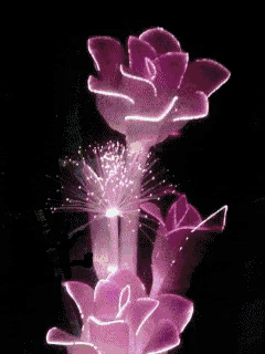 a close up of a purple flower with a glowing center