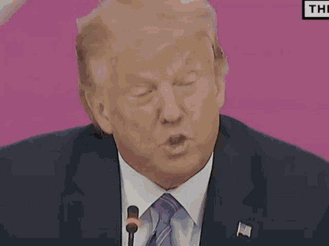 donald trump speaking into a microphone with a pink background