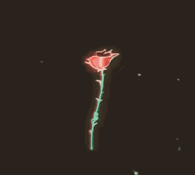 Rose Bloom GIF - Rose Bloom Spin GIFs