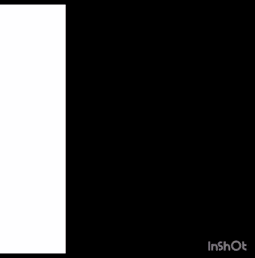 a screenshot of a video that says inshot on the bottom right