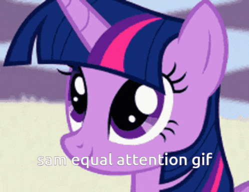 twilight sparkle from my little pony is shown with the words sam equal attention gif below her