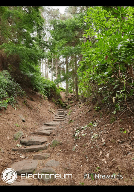 a picture of a path in the woods with the word electroneum on the bottom