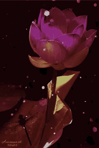 a dragonfly is sitting on a purple flower with the word niqyt written on the bottom