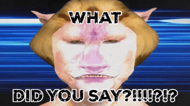 a picture of a cat with the words what did you say written on it