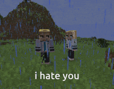 two minecraft characters are standing in a field with the words i hate you on the bottom