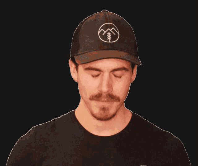 a man with a beard wearing a hat with a mountain and trees on it