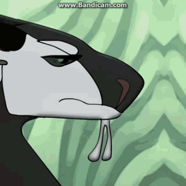 a cartoon drawing of a snake with a tongue sticking out and the website www.bandicam.com visible