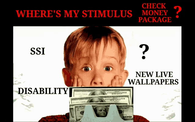 a poster for home alone shows a child holding a pile of money