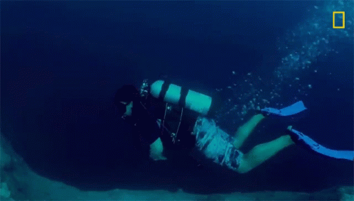 Scuba Diver National Geographic GIF - Scuba Diver National Geographic Underwater GIFs