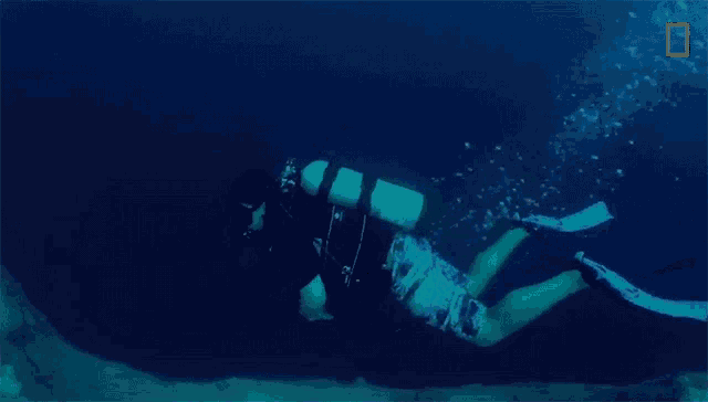 a scuba diver is swimming in the ocean with the national geographic logo in the background
