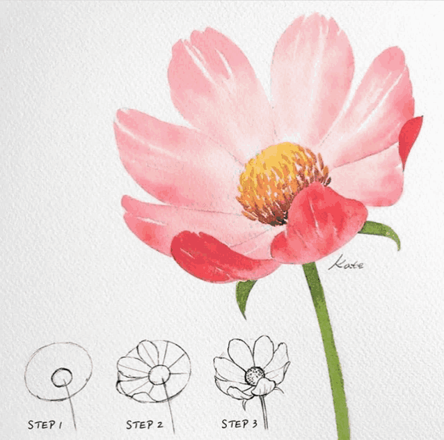 a step by step drawing of how to draw a flower by kace
