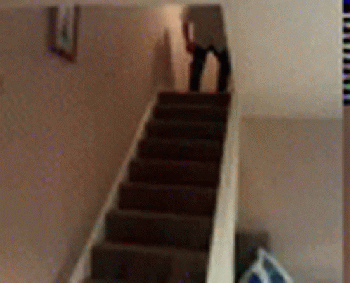 Stairs Steps GIF - Stairs Steps Fall GIFs