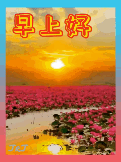 a painting of a field of pink flowers with the name jrj on the bottom