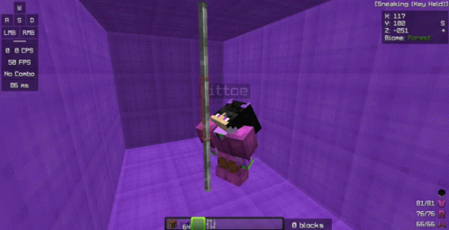 a screenshot of a minecraft game with the name hittoe on the bottom