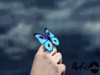 Flower Butterfly GIF - Flower Butterfly Flying GIFs