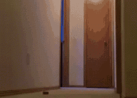 a blurred image of a person standing in a hallway with a door in the background
