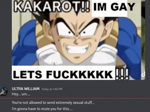 a screenshot of a discord conversation between ultra william and kakarot with a picture of a dragon ball z character