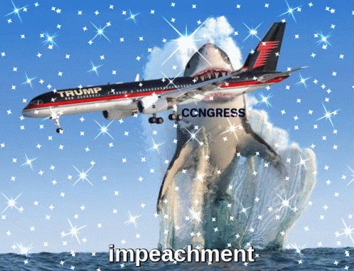 Impeachment Impeach Trump GIF - Impeachment Impeach Trump Impeach GIFs