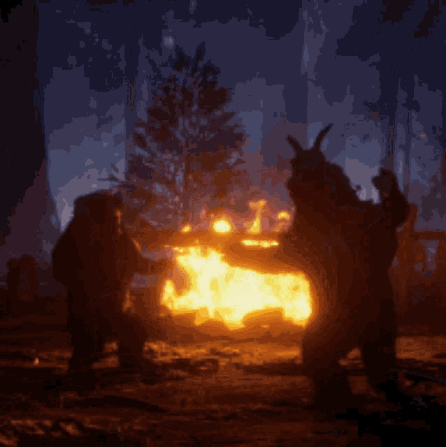 a person standing in front of a fire in the dark