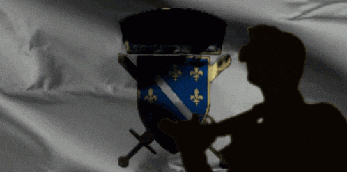 a silhouette of a soldier stands in front of a flag with a coat of arms on it