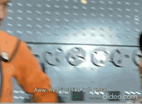 a man in an orange jacket says aww he 's just like a gueera