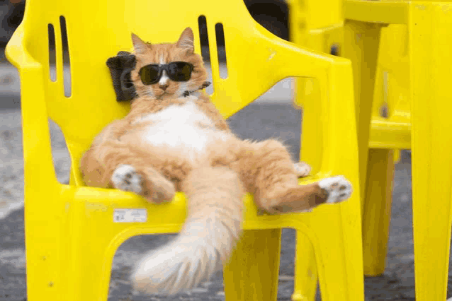a cat wearing sunglasses is sitting in a yellow chair