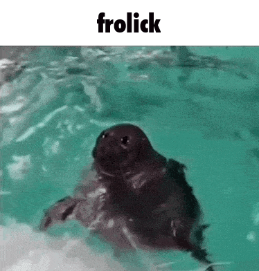 a baby seal is swimming in a pool with the words frolick above it .