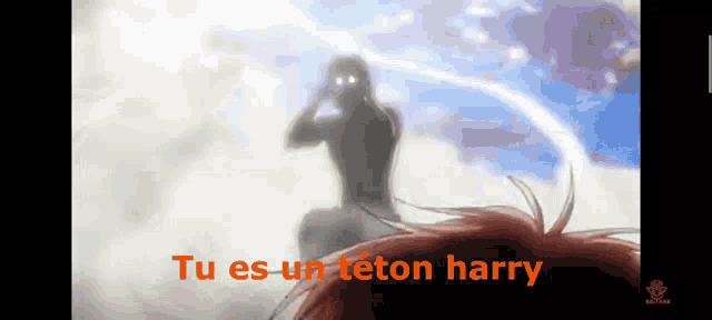 a screenshot of a video with the words tu es un teton harry on it