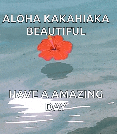 a picture of a flower in the water with the words " aloha kakahiaka beautiful have an amazing day "