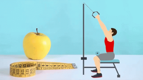 Work Out Lifestyle GIF - Work Out Lifestyle Healthy Living GIFs
