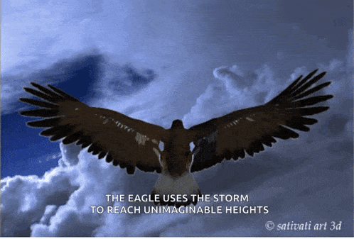 Flying Eagle GIF
