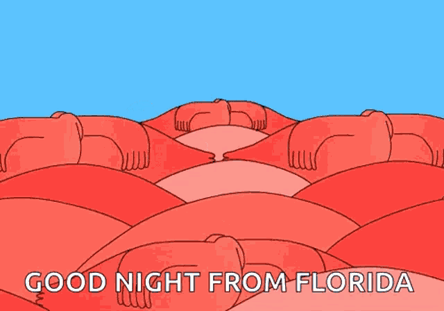 a cartoon of flamingos making a heart with their necks and the words good night from florida