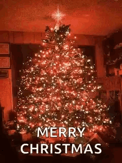 a christmas tree is lit up in a living room with gifts underneath it .
