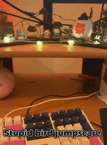 a keyboard with the words stupid bird jumpscare written above it