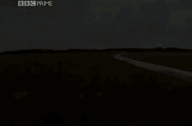a plane is flying over a grassy field with a white line going through it .