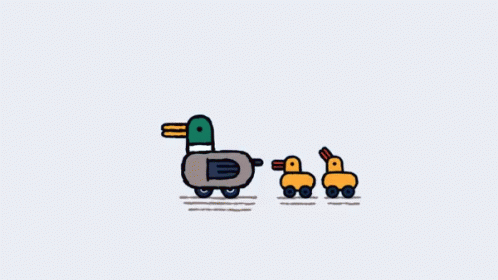 Duck Ducklings GIF - Duck Ducklings Quack GIFs