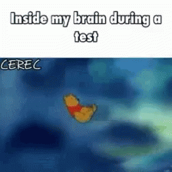 Distracted Inside My Head GIF - Distracted Inside My Head During A Test GIFs