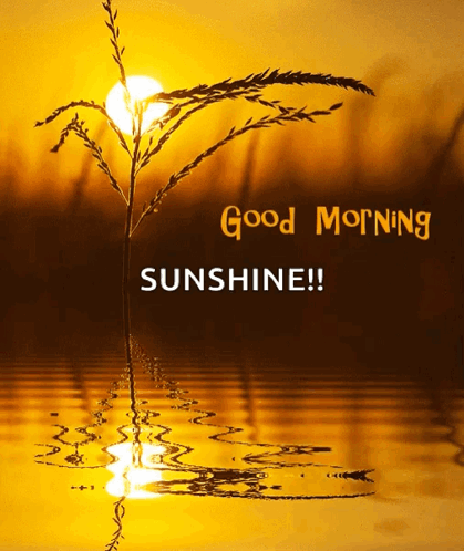 Goodmorning Sunrise GIF - Goodmorning Sunrise Waterripple GIFs